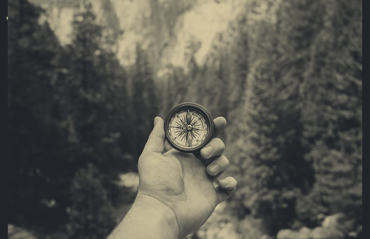 Professional financial advice: when expert advice pays off and for whom