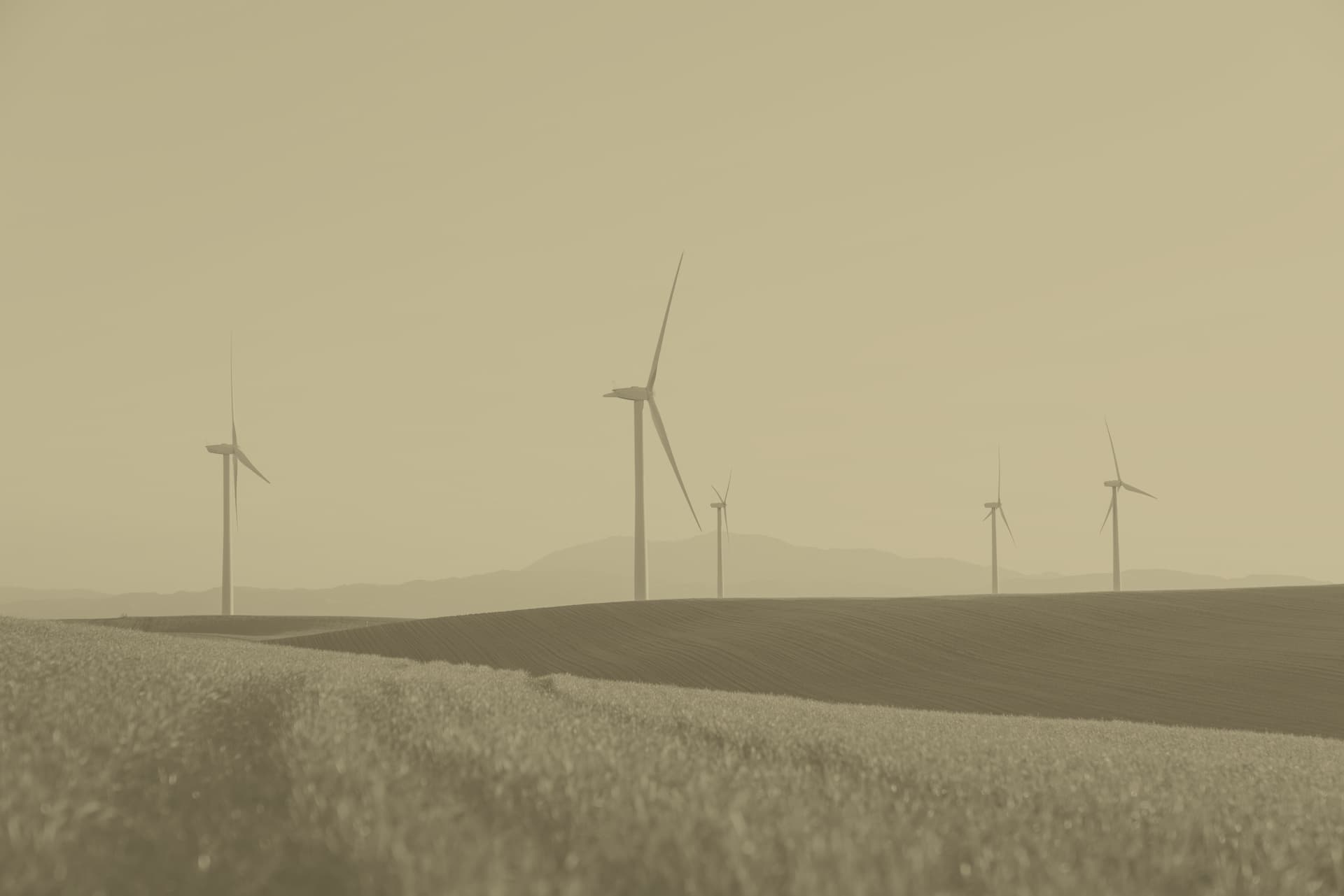 ESG and Sustainable Investments: Client Advice with a Future