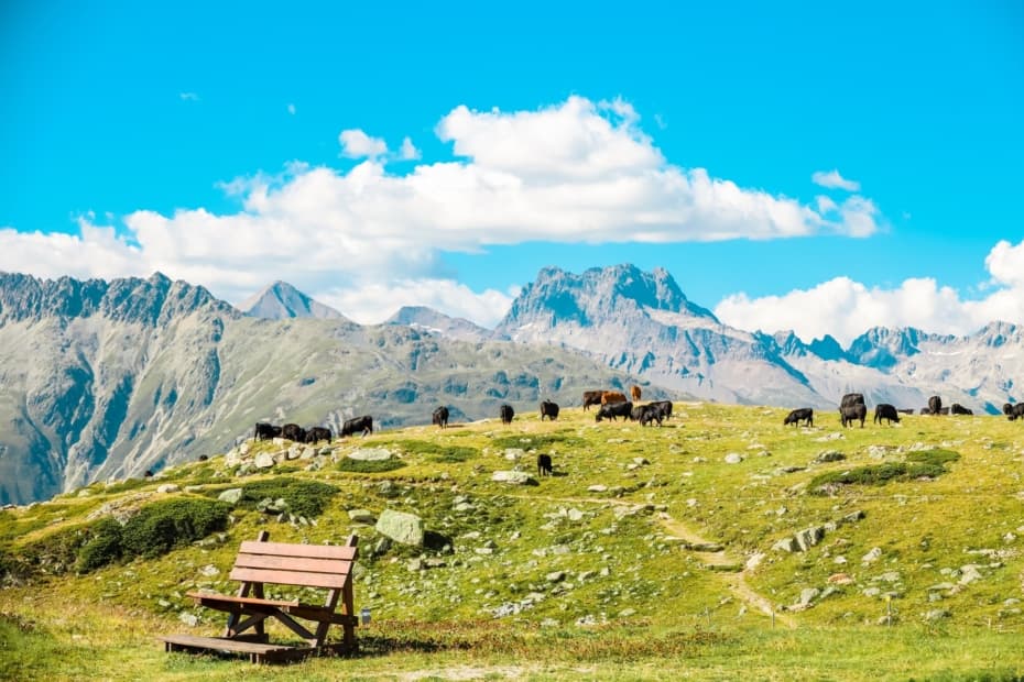 Suisse
